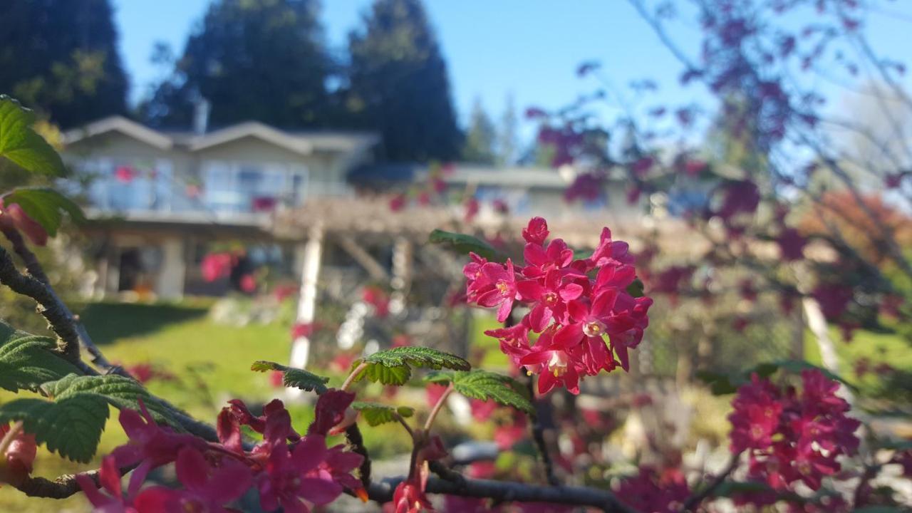 Secret Beach B&B Suites Gibsons Exterior photo